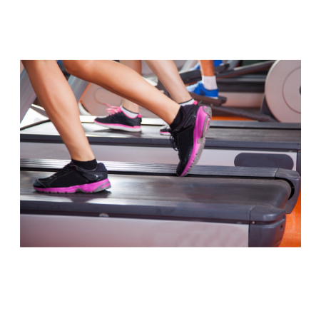 Treadmill Bases