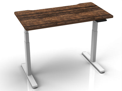 Adjustable Electric Standing Desk