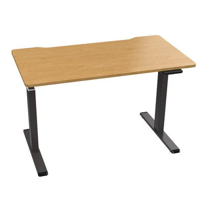 Adjustable Electric Standing Desk