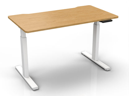 Adjustable Electric Standing Desk