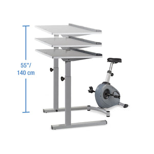Lifespan C3-DT5 Bike Desk w/Desktop