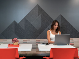 Sound Dampening Shaded Mountain Design